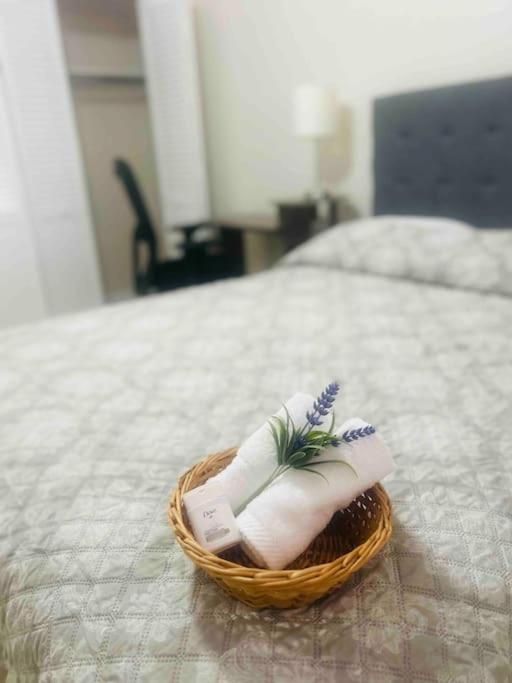 فيلا Vintage Family Scape + Heated Pool&Discount تامبا المظهر الخارجي الصورة