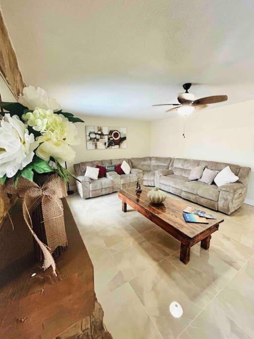 فيلا Vintage Family Scape + Heated Pool&Discount تامبا المظهر الخارجي الصورة