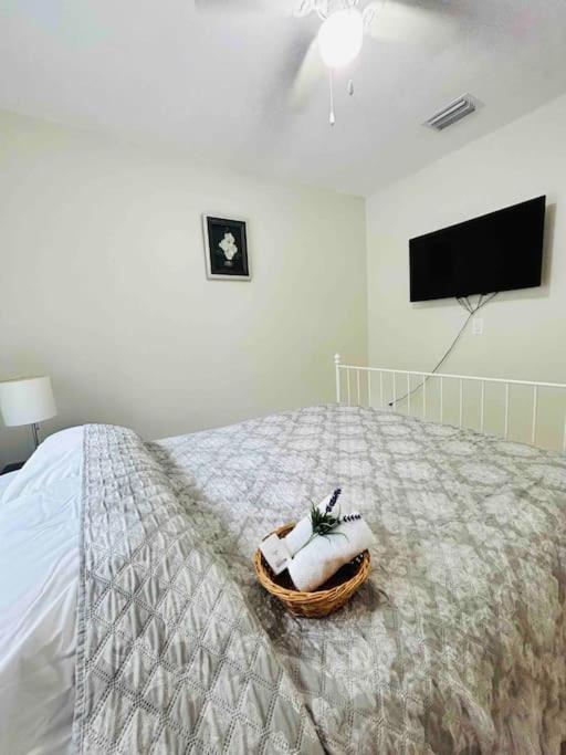 فيلا Vintage Family Scape + Heated Pool&Discount تامبا المظهر الخارجي الصورة
