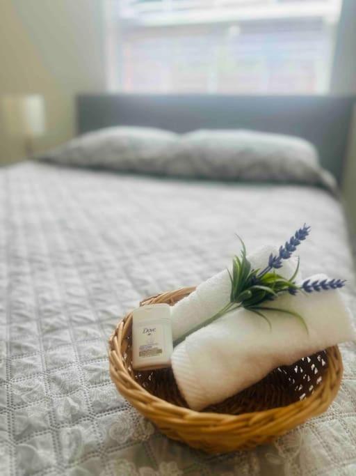 فيلا Vintage Family Scape + Heated Pool&Discount تامبا المظهر الخارجي الصورة